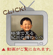 映像で見る紀州の梅わらべ